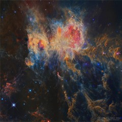 Strangers In The Night: Licushorescu