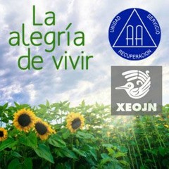 Prog 02 24ª SN Compartiendo Esfuerzo 2019 12y13enero2019 JCA