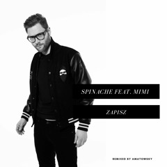 Spinache feat. Mimi - Zapisz 'Remix