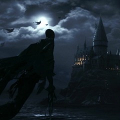 Survivor (Harry Potter main themes)