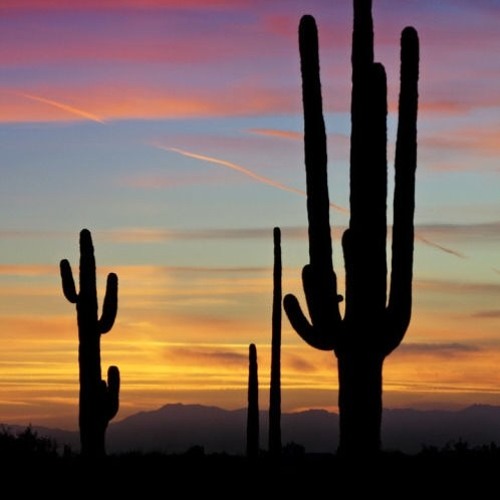 Ludmila - Qualidade de Vida part. Simone e Simaria (Phon4zo Trap remix)