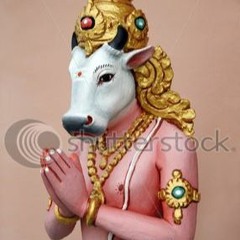 Virginia Bay Introduction (1)