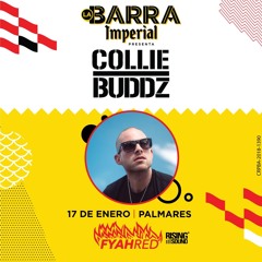 Collie Buddz Special (DJ Become)
