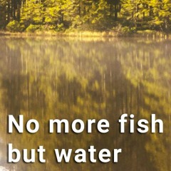 No more Fish but Water