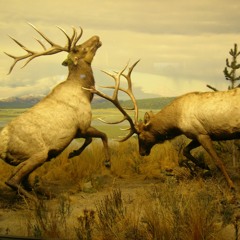 #TIAU (The Infrequent And Unlikely) --- SynTalk