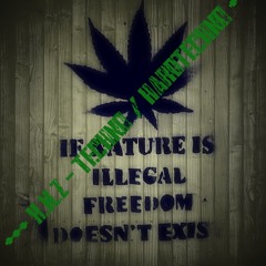 130119-iF NaTuRe iS iLLeGaL FReeDoM DoeSN´T eXiST (HARDTECHNO)