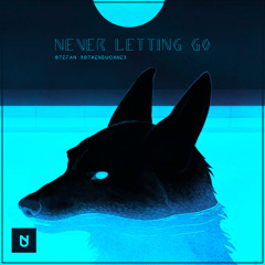 Stefan Rothenbuchner - Never letting go [UXN Release]