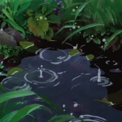 R a i n/ 雨
