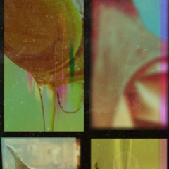 Northern Films