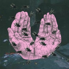 Bill Frost's Flying Machine