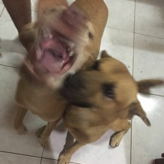 (I Will Miss You) When You're Gone [DEMO]