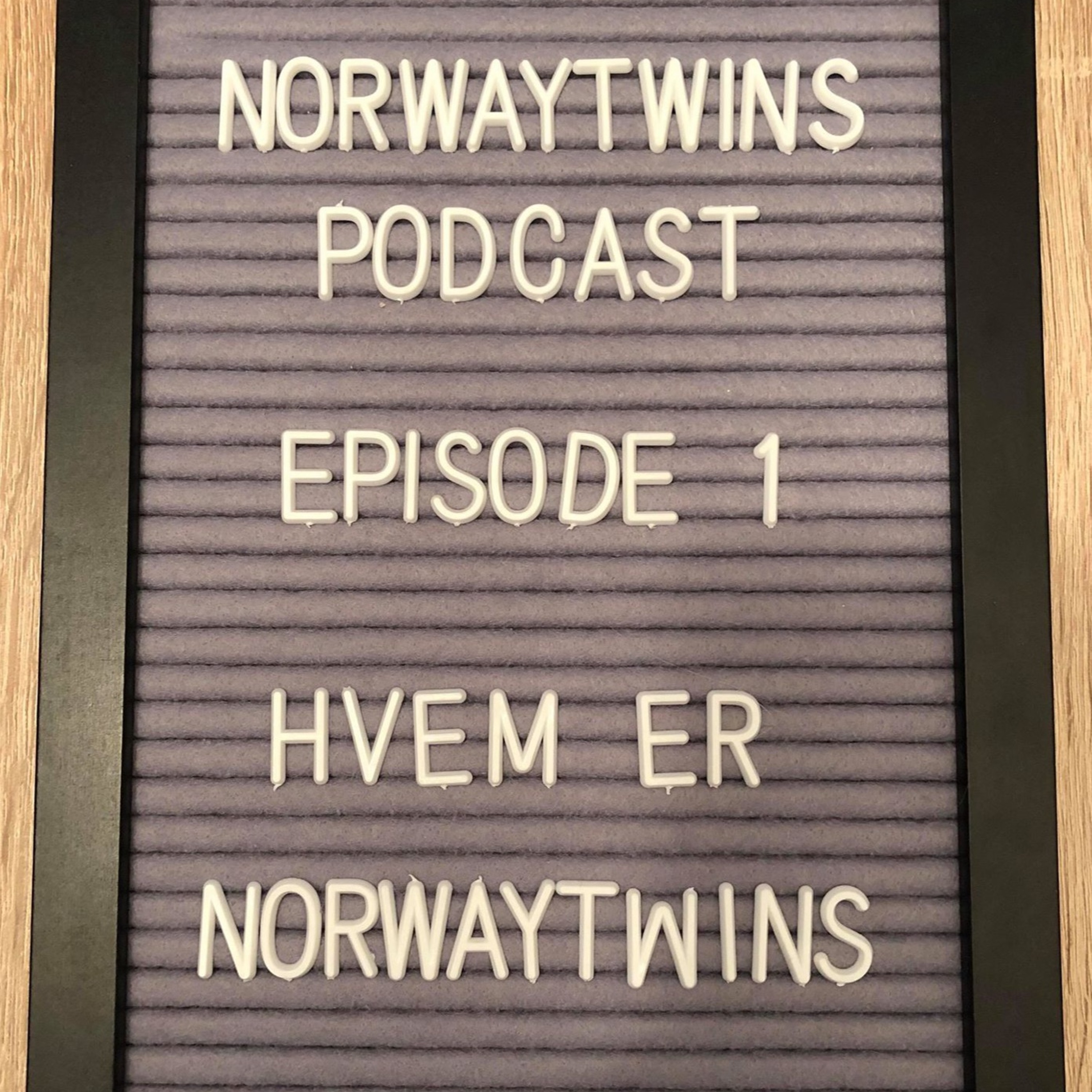 Norwaytwins om ting og tang