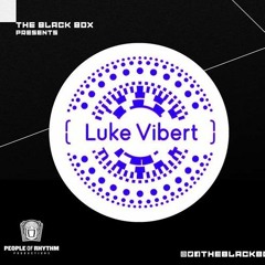 Live @ The Black Box 1/12/19 Opening for Luke Vibert