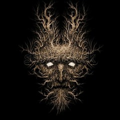 Set Oxidose FOREST 2019