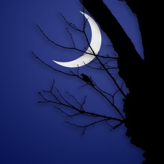 Moonlight | prod. samuelemazzamati