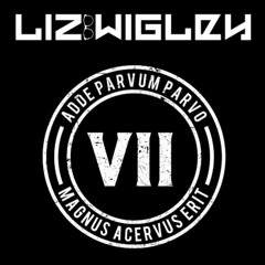 Liz Wigley - VII Label Showcase