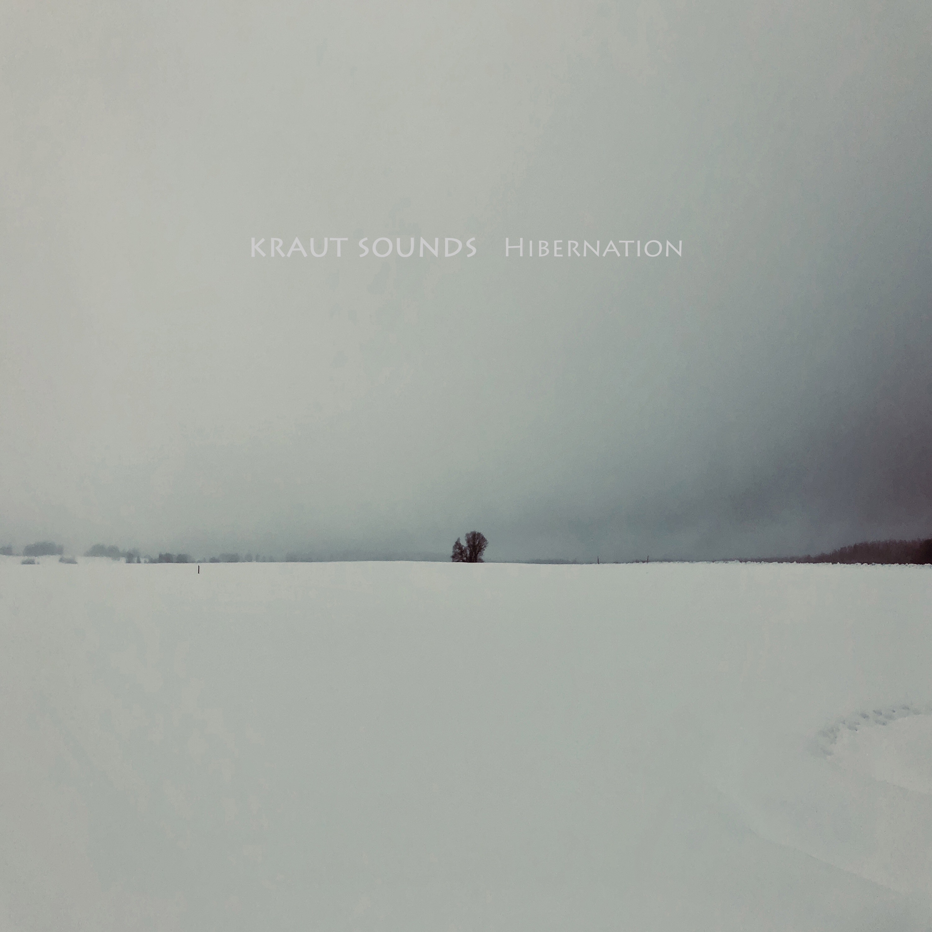 Kraut Sounds - Hibernation episode artwork