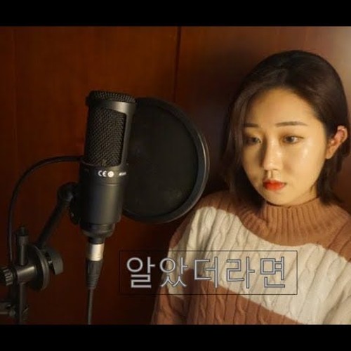 디 에이드 (The Ade) - 알았더라면 (Cover by Board Girl)