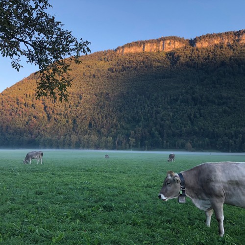 New & hot: Pop  14 Jan.2019