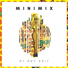 Pum Pum Vs I Took The Night Vs Put Em Up (Dj Roy Edit) (Free Download Link)