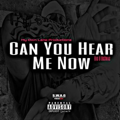 Can You Hear Me Now