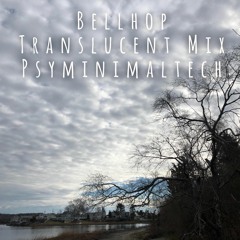 Transleucent Mix - Psyminimal Techno