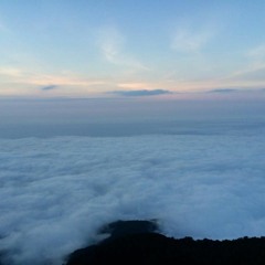 Garrix Malajunta - TVSY