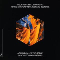 Jason Ross feat. Dimibo vs. Above & Beyond - A Thing Called The Gorge (Black Room Boy Mashup)