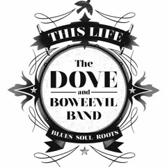 Hand In My Pocket PBM+6