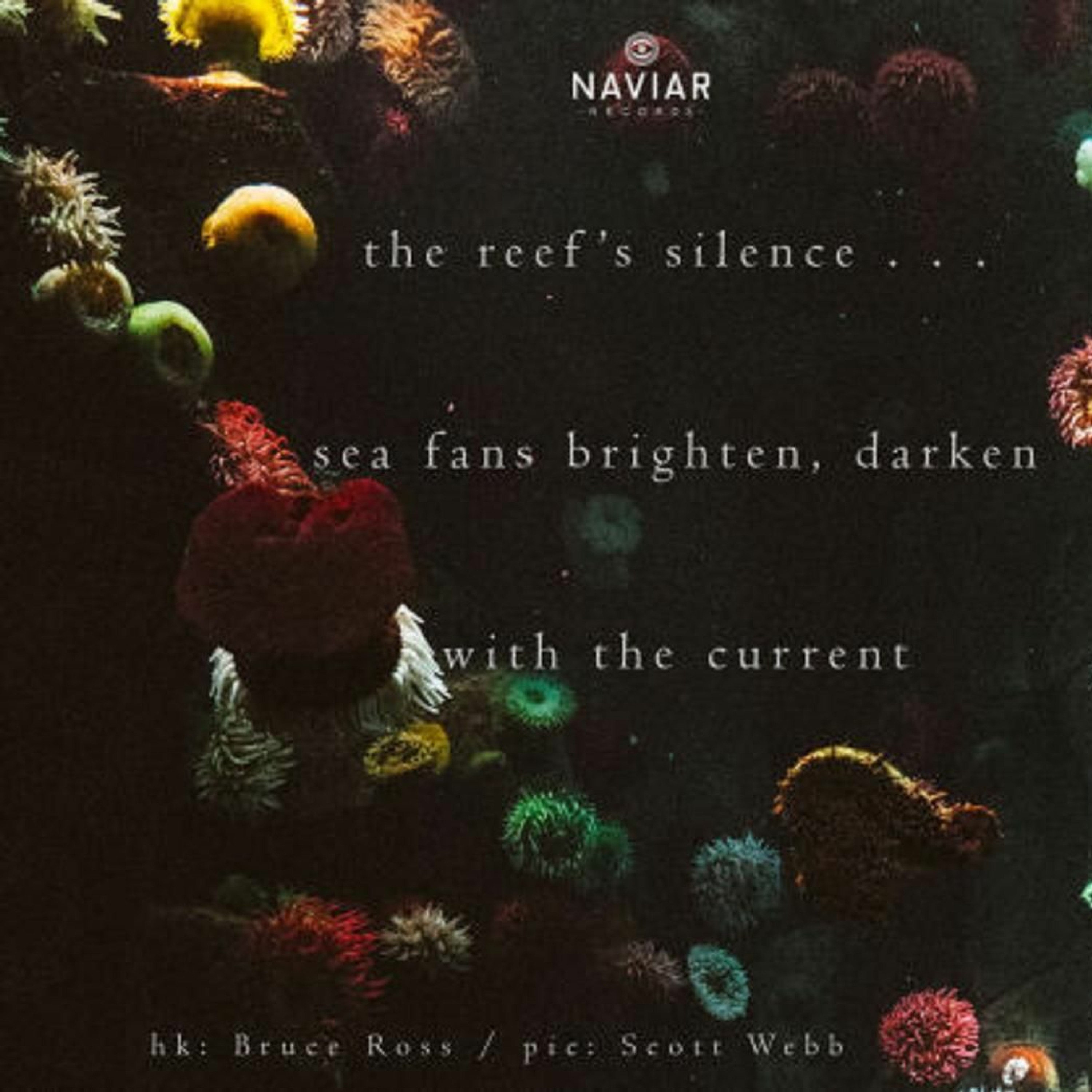 Sea Fans Brighten - Darken With The Current (Naviarhaiku 262) episode artwork