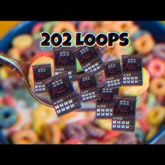 202 Loops (beat tape)