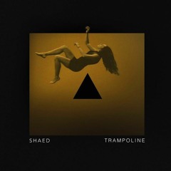 Trampoline (Nick Schlegel Remix) - SHAED
