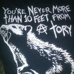 Self esteem (offspring cover)