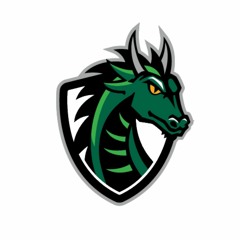 Senior Year (SVHS Podcast Episode 1)