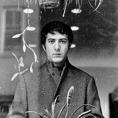 I Go To Sleep Cover (by Sia)