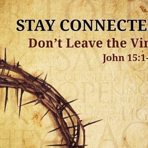 Stream Stay connected to the vine 11319 Marcus by Torrance church of