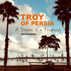 TROY OF PERSIA - Wounded