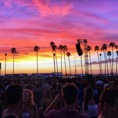 Vibe with Vic Jan 2019