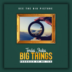 Big Things (produced by Mr. Tex)