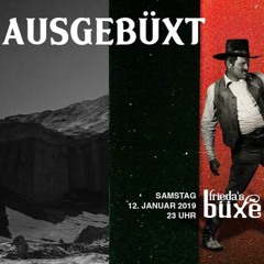 Frieda's Büxe / Zürich - 12.01.2019