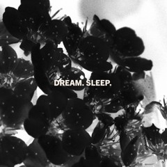 Dream. Sleep.