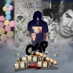 LIL ANT - TAPPT IN