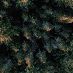 1-Eleven Sad Bois: 1AM Freestyle (prod. Norman)