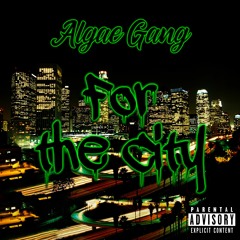For the City