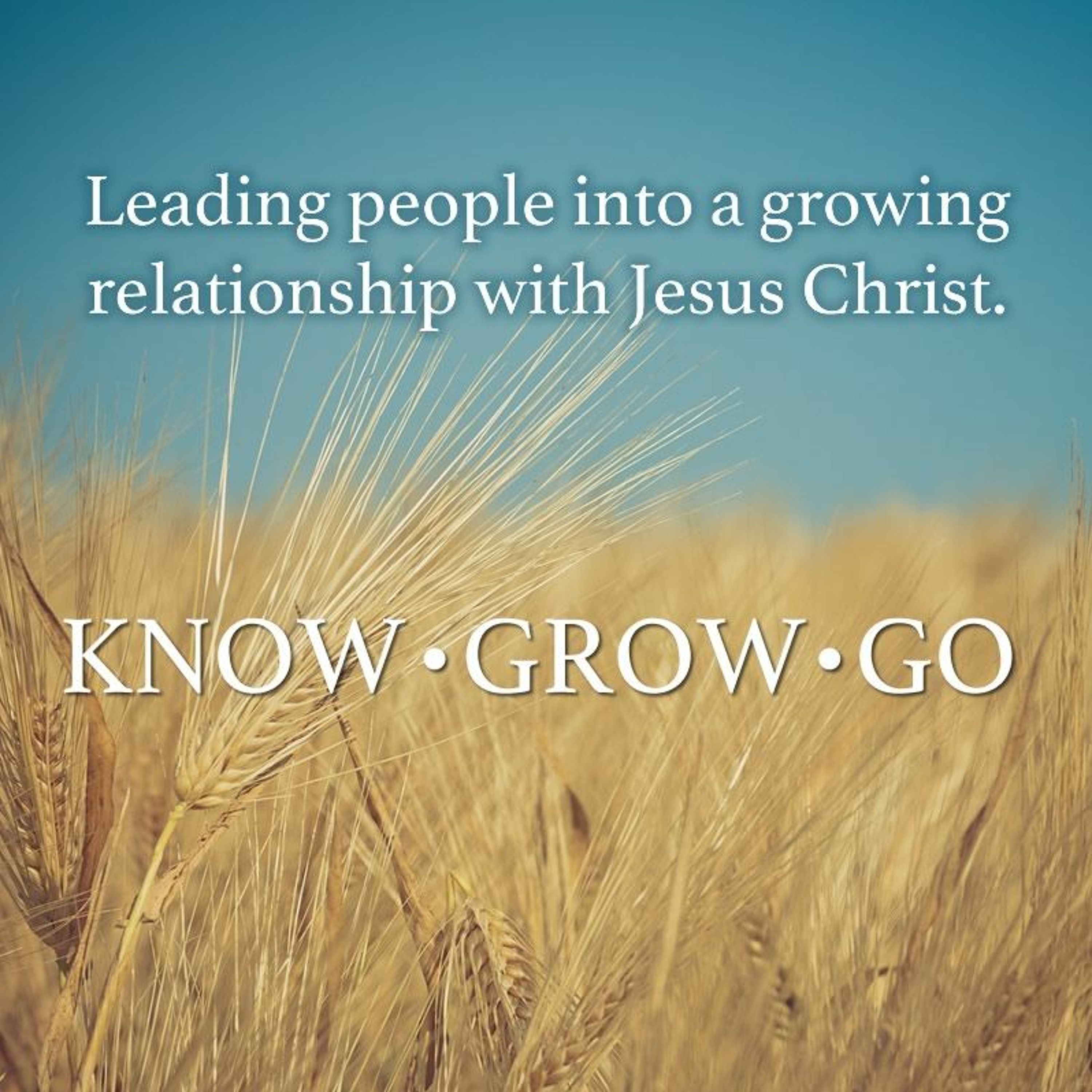 Growing in Jesus (John 17:13-17 - 1/13/2018 - Pat Braddy) episode artwork