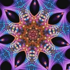 Multymorebeat - Heijawu