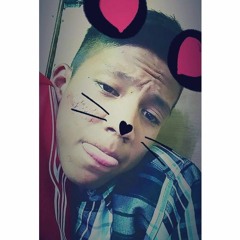 AYWS 11 - Padi Harmoni