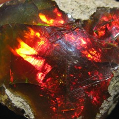 Trapper Gon Be A Trapper - (CGE) Remix