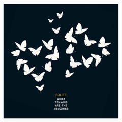 Solee - What Remains Are the Memories (Continuous DJ Mix)