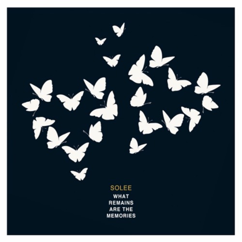 Solee - What Remains Are the Memories (Continuous DJ Mix)